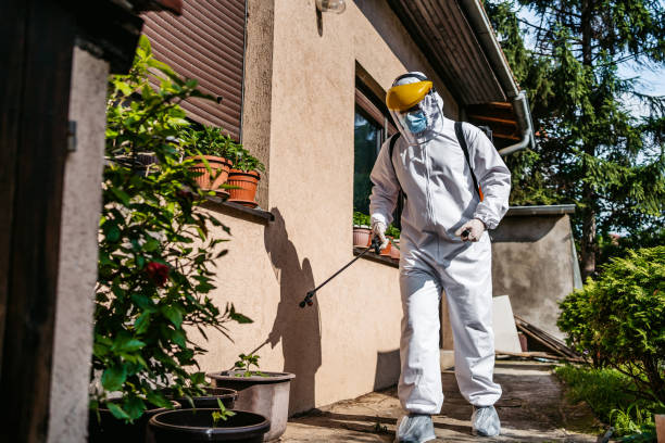 Best Pest Control for Homes  in Greenville, MI