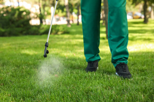 Best Termite Control Services  in Greenville, MI