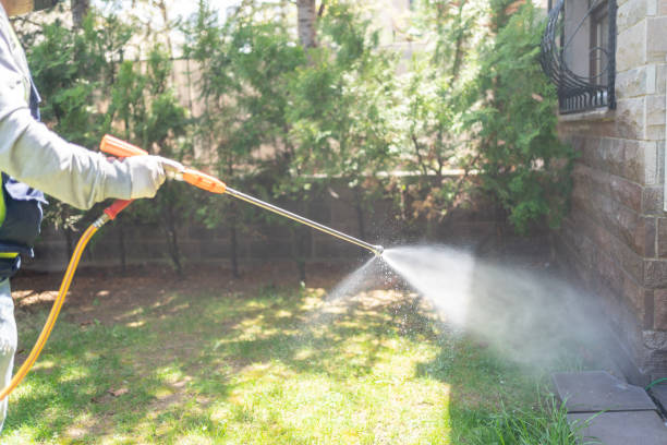 Best Best Pest Control Companies  in Greenville, MI