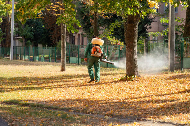 Best Best Pest Control Companies  in Greenville, MI