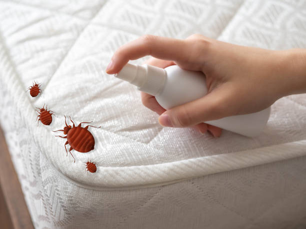 Best Bed Bug Extermination  in Greenville, MI
