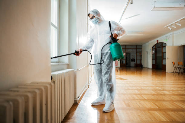 Best Affordable Pest Control Services  in Greenville, MI